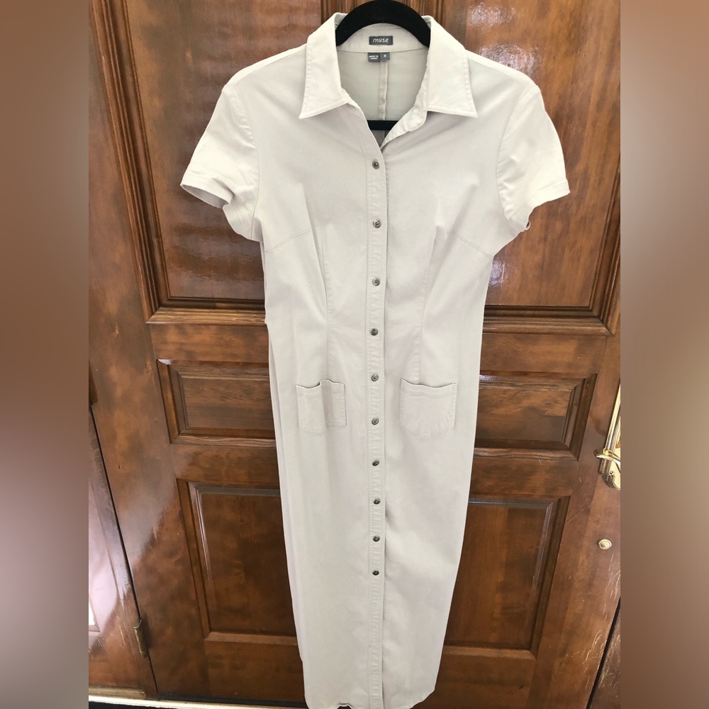 Muse shirt dress